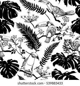 Seamless pattern with image of a Toucan, Fern and Monstera tropical leaves. Vector black and white illustration.