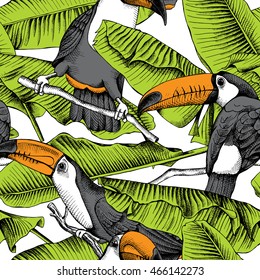 Seamless pattern with image of a Toucan and green Banana leaves. Vector illustration.