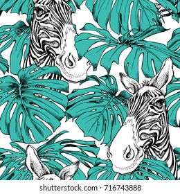 Seamless pattern with image of the Zebra and a green Monstera leaves. Vector illustration.
