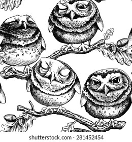 Seamless pattern with images of little owls on oak branches. Vector black and white illustration.