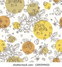 Seamless pattern with Incense: leaves , flowers and resin of incense. Boswellia sacra. Perfumery, cosmetics and medical plant. Vector hand drawn illustration