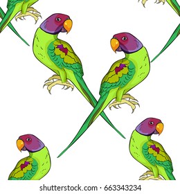 Seamless pattern Indian of ringed parrot ozherelovy parrot . Vector illustration