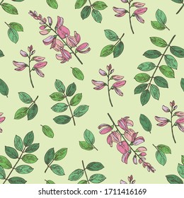 Seamless pattern with Indigofera tinctoria: plant, flowers and leaves of indigo. Cosmetic and medical plant. Vector hand drawn illustration.