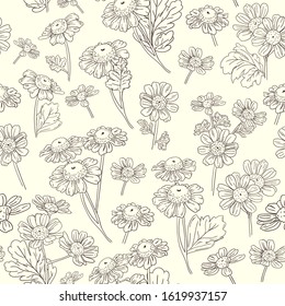 Seamless pattern of individual fragments of a sketch of a camomile plant. Separate contour patterns on a beige background. Seamless pattern for different surfaces.