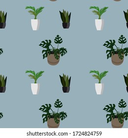 Seamless pattern indoor monstera flowers on a gray background