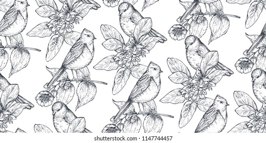 Seamless pattern with ink hand drawn birds on blooming tree branches. Vector endless sketch background