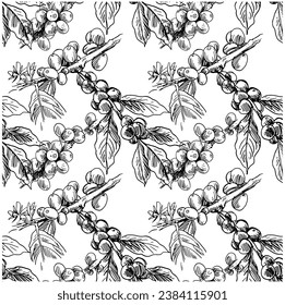seamless pattern of ink sketch drawing coffee flora for fabric fashion, art poster, decorative, wall paper, post card, brochure, menu, banner, packaging, label, background,   