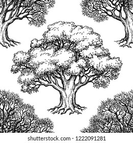 Seamless pattern. Ink sketch of two oaks. Winter and summer tree. Hand drawn vector illustration. Retro style.