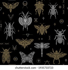 Seamless pattern with insect outline symbols. Spiritual geometric icons. Vector illustration in flat linear style. Butterflies and moths, beetles and dragonfly, cicada and grasshopper. 