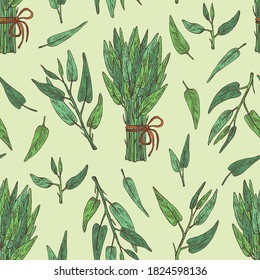 Seamless pattern with ipomoea water: leaves, plant of Ipomoea water and bunch of water spinach. Vector hand drawn illustration