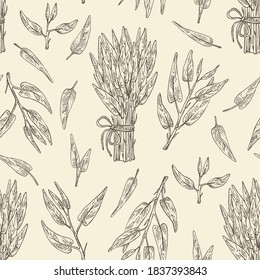 Seamless pattern with ipomoea water: leaves, plant of Ipomoea water and bunch of water spinach. Vector hand drawn illustration