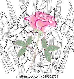Seamless pattern with iris and  black and white. Vector illustration