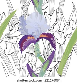 Seamless pattern with iris and  black and white. Vector illustration