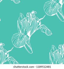 seamless pattern with iris flower