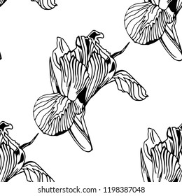 seamless pattern with iris flower