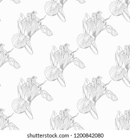 seamless pattern with iris flower