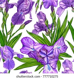 Seamless pattern with Iris flowers on a white background. Hand drawn sketch. Template for textile floral design