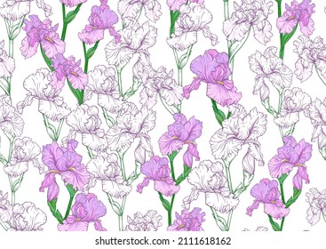 Seamless pattern with Iris flowers, purple and blue irises. Vector illustration Isolated on white background..