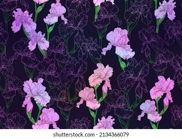 Seamless pattern with Iris flowers, purple and blue irises. Vector illustration Isolated on black background..