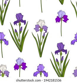 Seamless pattern Irises flowers botanical vector illustration