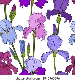 Seamless pattern Irises flowers botanical vector illustration