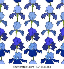 Seamless pattern Irises flowers botanical vector illustration