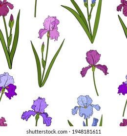 Seamless pattern Irises flowers botanical vector illustration