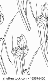 Seamless pattern with irises, hand drawing. 