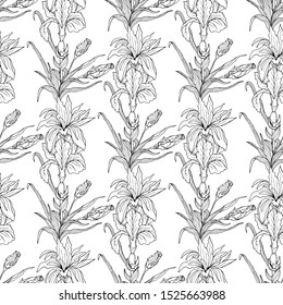 Seamless pattern with irises and leaves on the white background. Decorative endless texture for greeting cards, interior, cosmetics and textiles.