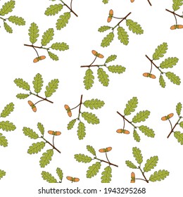 Patrón sin foco con la planta medicinal irlandesa Oak Quercus petraea sobre fondo blanco. Ilustración del vector