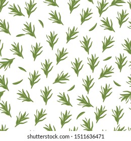 
Seamless pattern: isolated green rosemary herb on a white background. Flat vector. Illustration