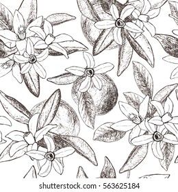 Seamless pattern of isolated hand drawn oranges and flowers in sketch style. Vector illustration