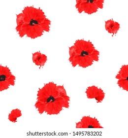 Seamless pattern of isolated poppies flowers on a white background. Steele watercolor. Illustration. Red spots.