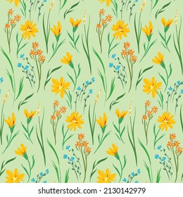 Seamless pattern with isolated wild flowers, leaves, herbs. Summer floral print with hand drawn plants in the meadow, vintage field. Delicate botanical background. Vector illustration.