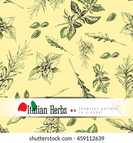 Seamless pattern italian herbs and plants vector. Rosemary, oregano, sunflower seeds, basil and arugula realistic sketch hand drawn style for food and kitchen or organic design.