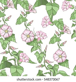 Seamless pattern with ivy and flowers on white background