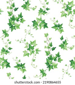 Seamless pattern with ivy. Leaves in realistic style. Climber plant. Foliage design on a white background. Vector botanical illustration.