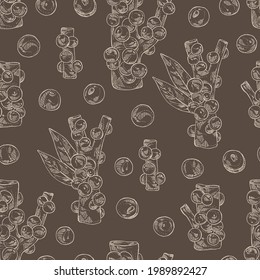Seamless pattern with jaboticaba: fruts, jaboticaba berries, leaves and jaboticaba tree. Myrciaria caulifloria. Vector hand drawn illustration