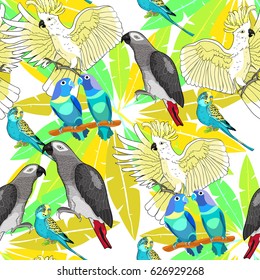 Seamless pattern  Jaco, Lovebird, wavy parrot kakadu on palm Vector illustration
