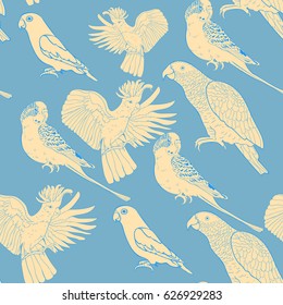 Seamless pattern  Jaco, Lovebird, wavy parrot kakadu Vector illustration
