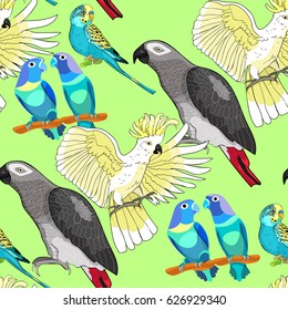 Seamless pattern  Jaco, Lovebird, wavy parrot kakadu on green Vector illustration
