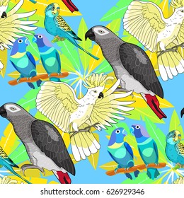 Seamless pattern  Jaco, Lovebird, wavy parrot kakadu on palm tree Vector illustration
