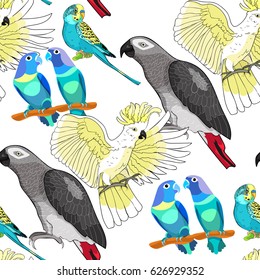 Seamless pattern a Jaco, Lovebird, wavy parrot kakadu Vector illustration
