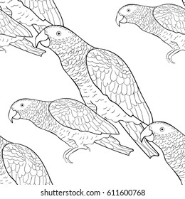 Seamless pattern Jaco parrot the coloring  Vector illustration