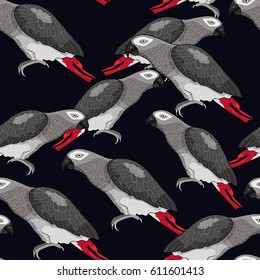 Seamless pattern Jaco parrot the red on dark  Vector illustration