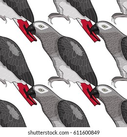 Seamless pattern Jaco parrot the red-with shadows Africa  Vector illustration