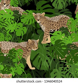 Seamless pattern. Jaguars or leopards in the tropical leaves of the Monstera plant. Fashionable animal print. Realistic Vector