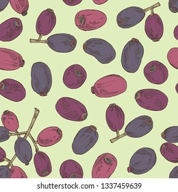 Seamless pattern with jambolan: jambolan fruit and leaves. Vector hand drawn illustration.