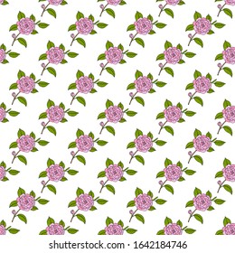 Seamless pattern with Japanese camellia ornamental plant. Hand drawn botanical vector illustration