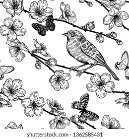 Seamless pattern with Japanese cherry, bird and butterflies. Illustration of spring nature. Vector sketch. Black and white. Vintage.